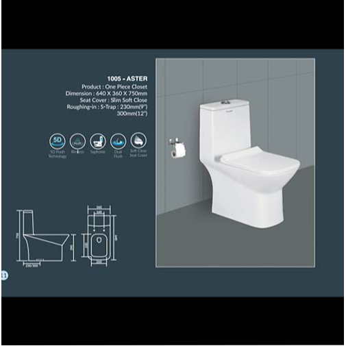 One Pice - 1005 Aster