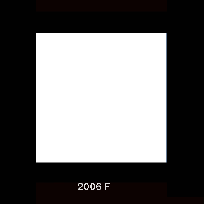 Plain Floor Tiles