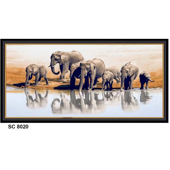 Poster - Elephent Sc-8020